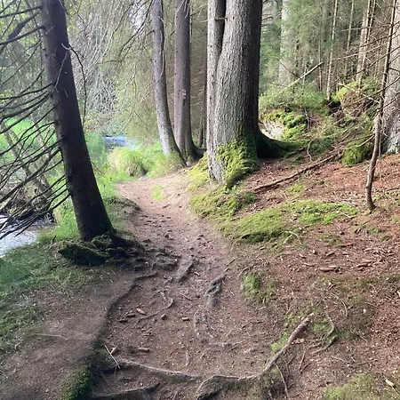 F&f Lägenhet *